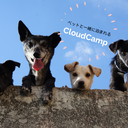 森の中、ペット同伴で宿泊できる貸切宿。CloudCamp